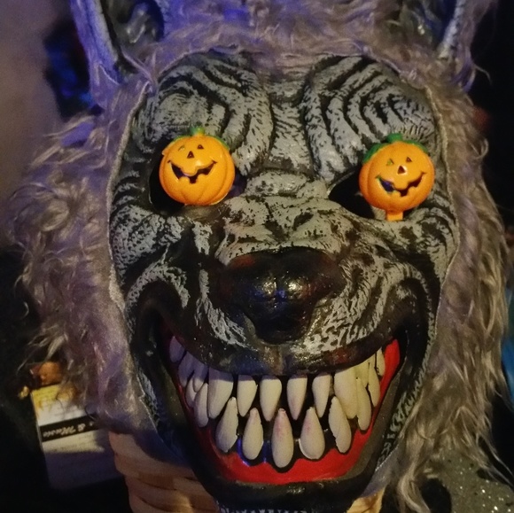 Meet your Posher, Robert - Picture 1 of 1